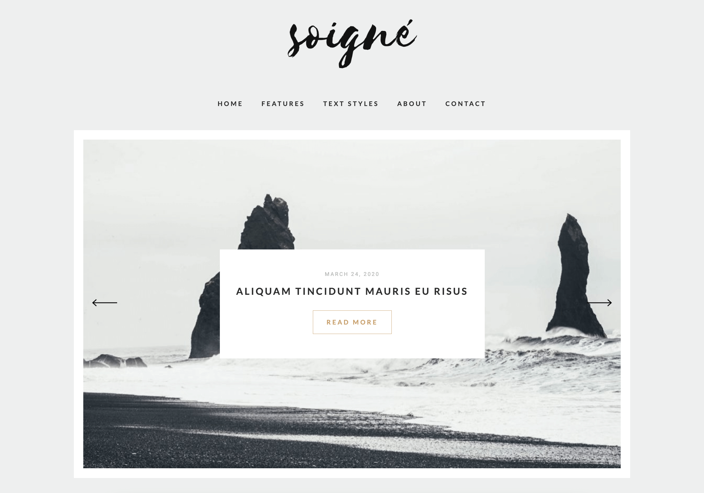 Soigne - A Responsive WordPress Blog Theme